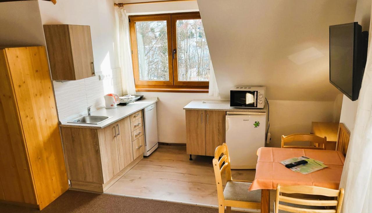 Apartment Ulrich ヤブロネツ・ナト・イゼロウ エクステリア 写真